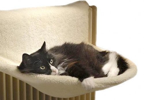 Un lit de radiateur pour chat